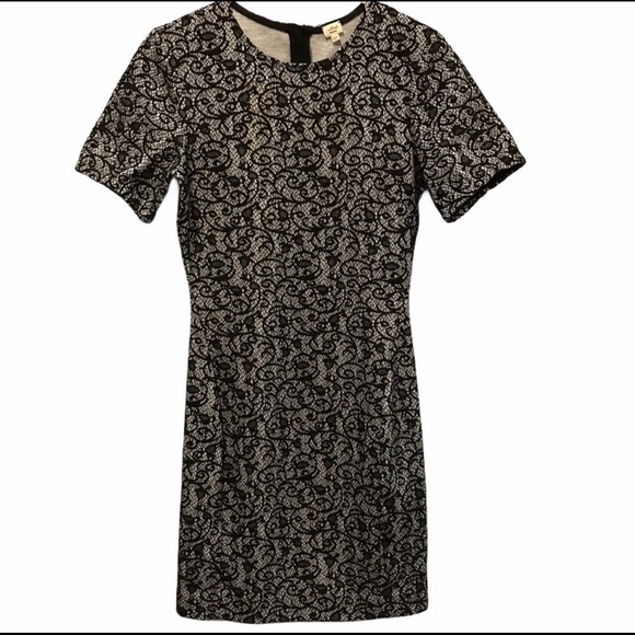 Wilfred mignonne dress lace sz medium black white - Picture 2 of 10